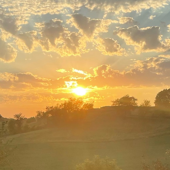 Meet your Posher, Zoe - Picture 1 of 1